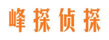 鸡东侦探公司